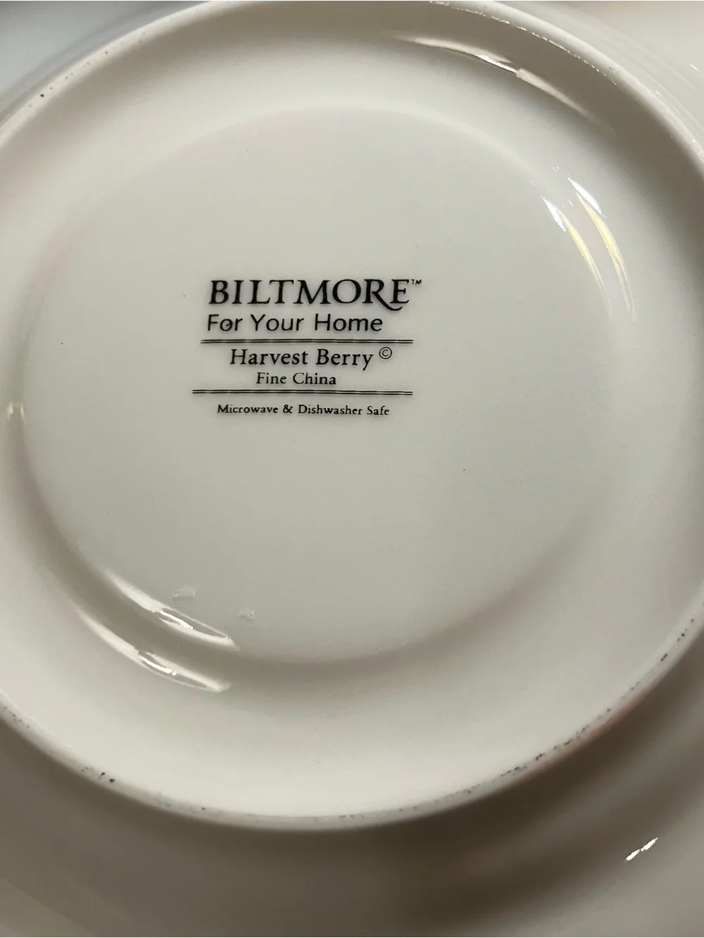 Biltmore for the Home excellent pattern